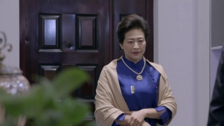极品一家人 3集
