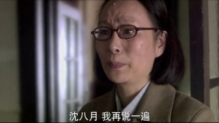 大地情深 28集