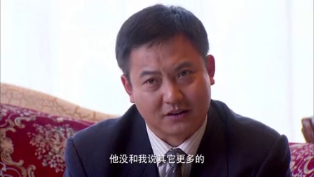 返城年代 15集