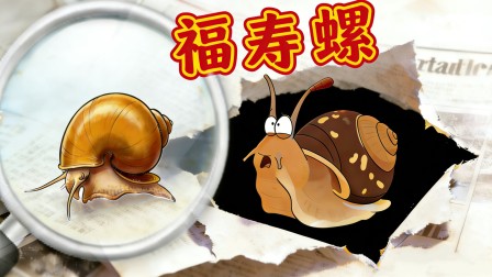 光年探索号：入侵动物战记 9集