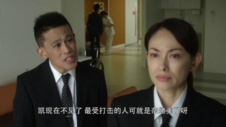 欧布奥特曼 英雄传 国语 14集