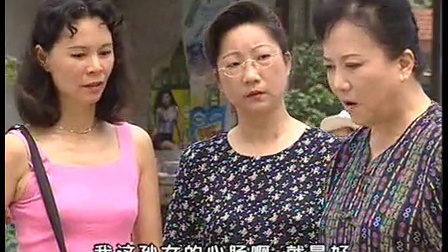 婆媳过招 11集