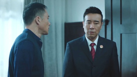 巡回检察组 DVD版 33集