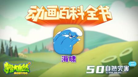 大自然里面的小百科 14集