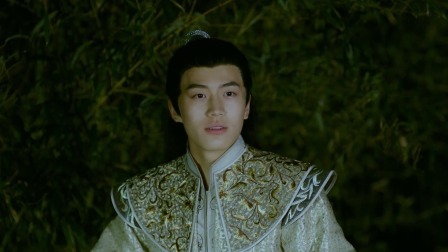 太子殿下的公主缘 13集
