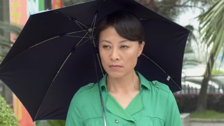 龙门村的故事 18集
