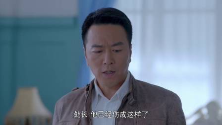 铁核桃之无间风云 9集