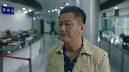 春风又绿江南岸 34集