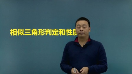 九年级数学 同步辅导 下册 8集