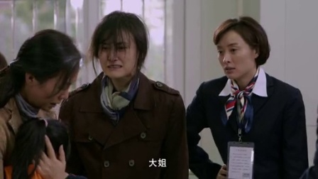 信访局长 14集