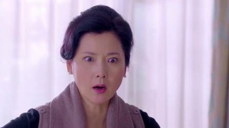 再见，老婆大人 25集