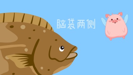 好奇世界百问百答之小型动物观察笔记 26集