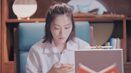 点醒六百年匠心 42集