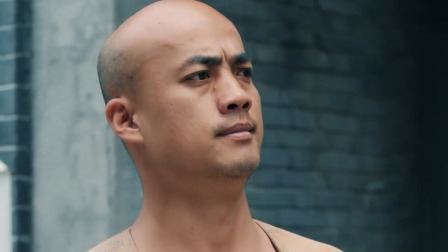 少帅休想逃 35集