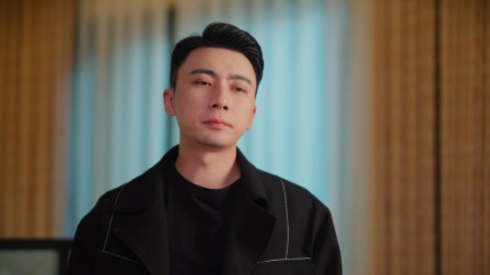 双生枕边人 8集