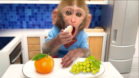 小猴子啵啵 第4季 36集