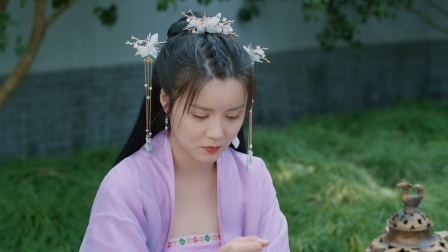落难皇妃 13集