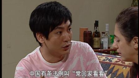 外来媳妇本地郎11 17集