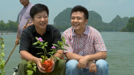 龙门村的故事 4集