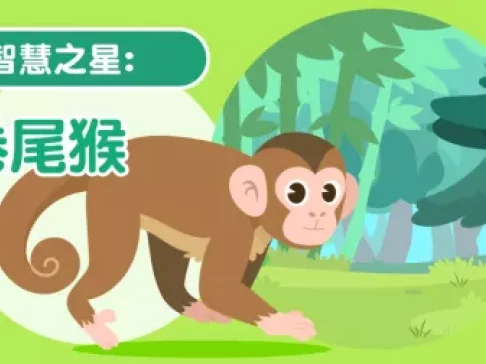 超萌动物园 新奇动物大派对 3集