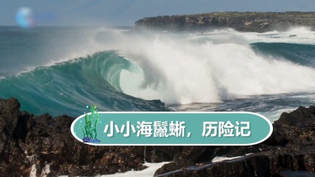 动物宝宝历险记 9集
