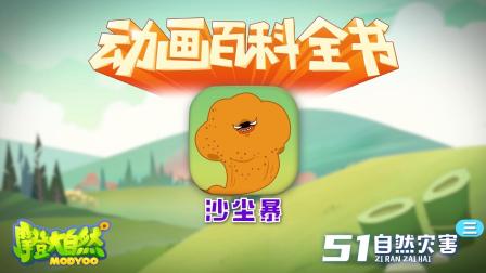 大自然里面的小百科 15集