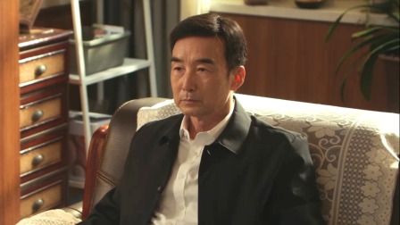 以法之名 36集