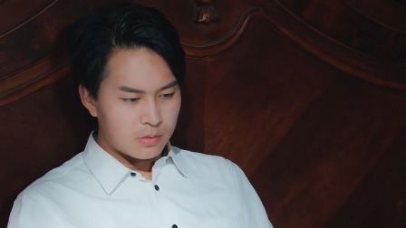 少帅休想逃 14集