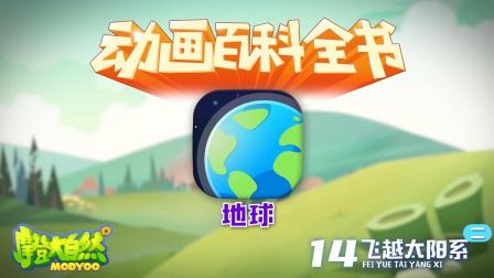 大自然里面的小百科 2集