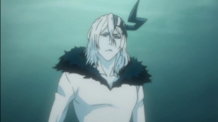 bleach 境&middot;界 决战蓝染篇 55集