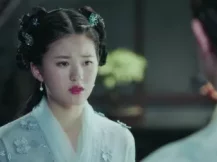 天雷一部之春花秋月 9集