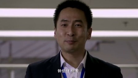 信访局长 24集