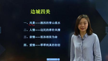 高二语文 春季 同步精讲 9集