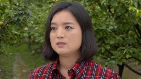 龙门村的故事 13集