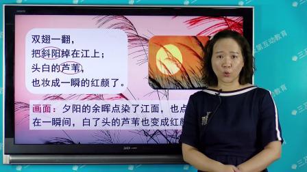部编版语文 四年级上册 语文精讲 8集