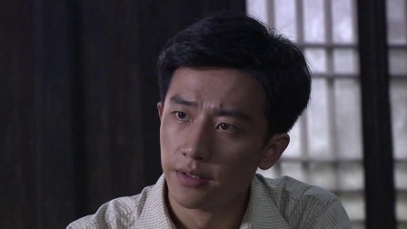 黎明前的暗战 22集