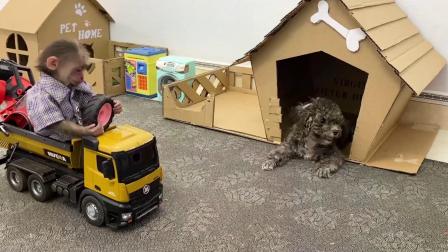 小猴子叮当历险记 8集