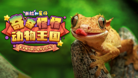 米拉和星仔：奇奇怪怪动物王国 1集