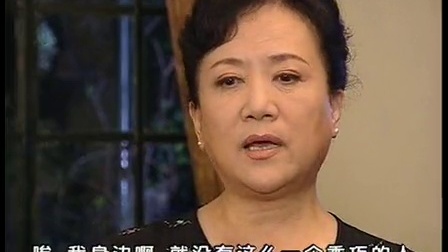 婆媳过招 20集