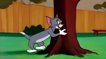 猫和老鼠笨笨猫和机灵鼠 69集