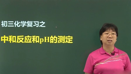 九年级化学总复习下 7集