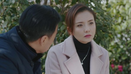 雾中系铃人 26集