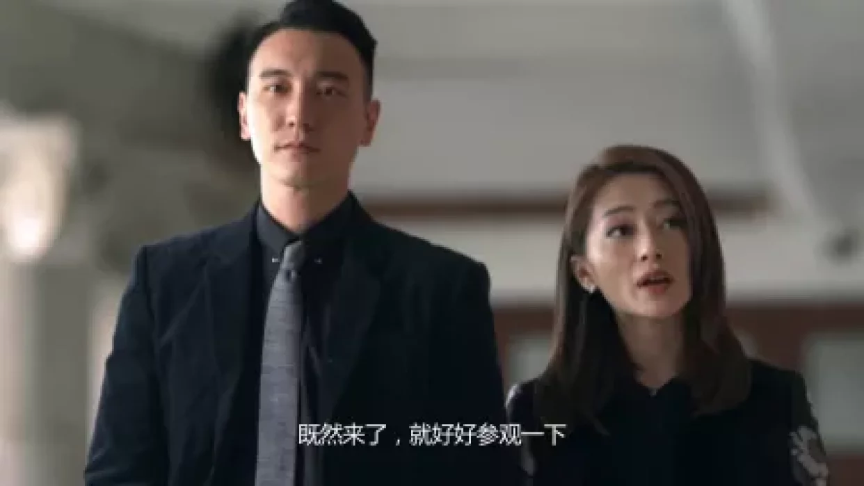 蚀日风暴 35集