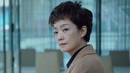 巡回检察组 TV版 33集