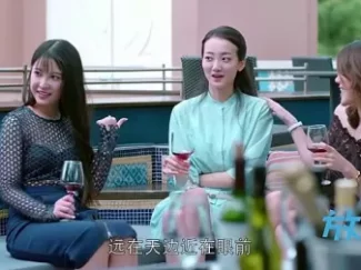 欢乐颂 14集