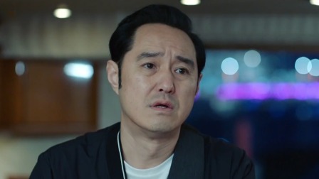 巡回检察组 TV版 11集