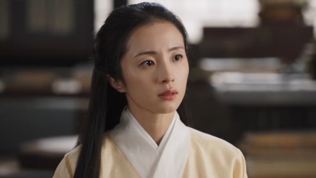锦囊妙录 11集