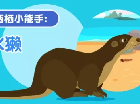 超萌动物园 新奇动物大派对 2集