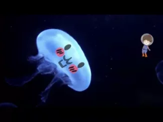 探秘海洋动物家族 畅游海底世界 认识神奇动物 11集