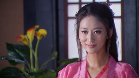 神医传奇 49集